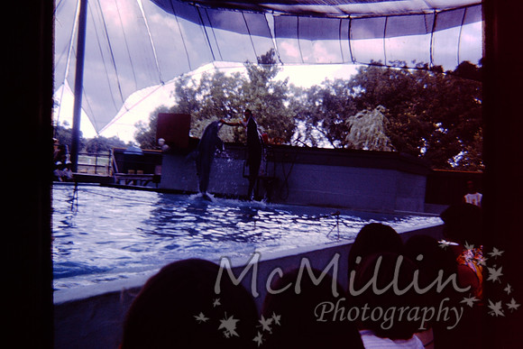 PICT0022