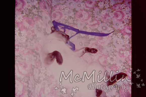 PICT0050