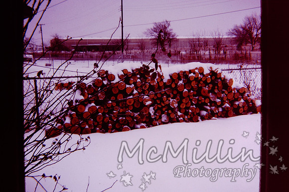 PICT0029