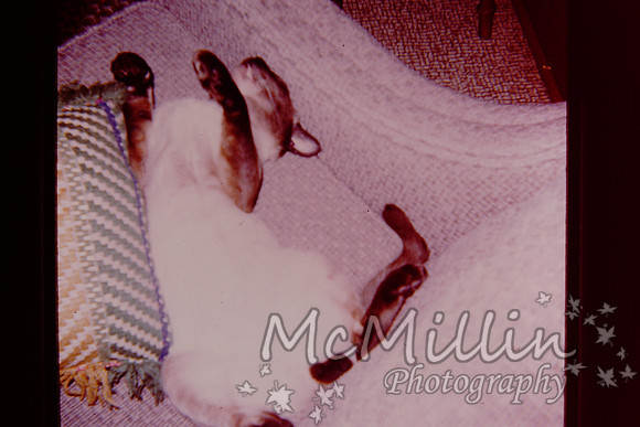 PICT0068