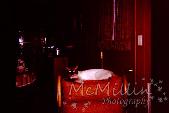 PICT0069