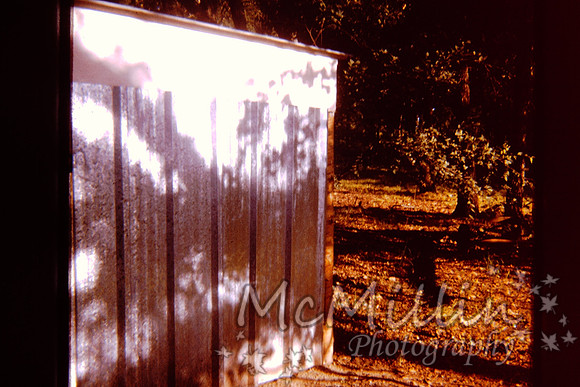 PICT0043