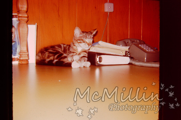 PICT0059