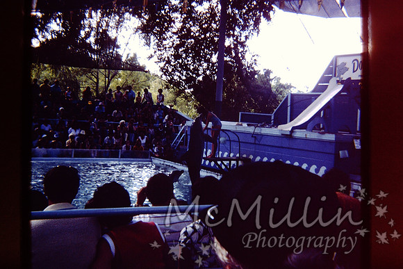 PICT0078