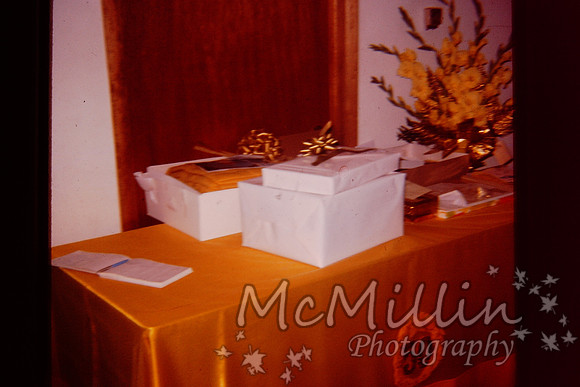 PICT0029