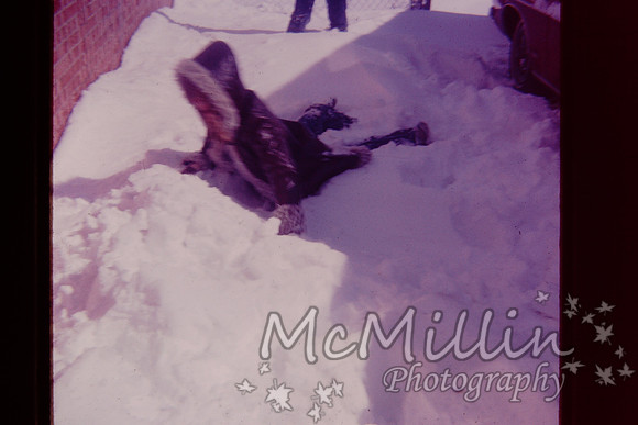 PICT0040