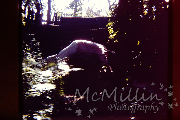 PICT0076