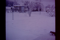 PICT0017