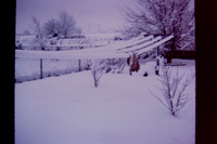 PICT0020