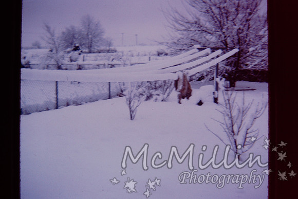 PICT0020