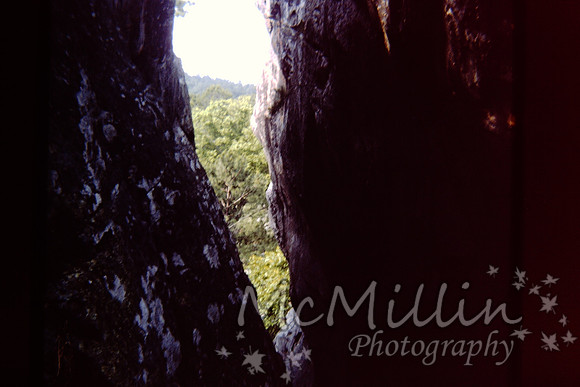 PICT0050