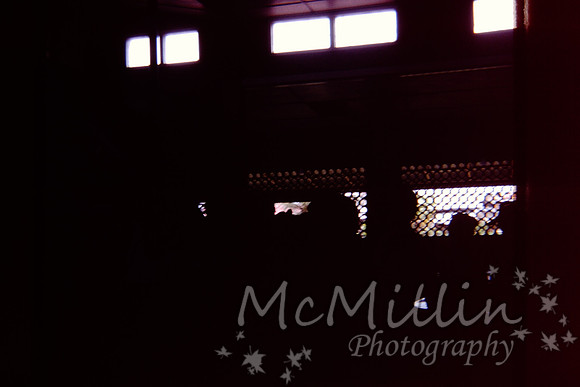 PICT0036