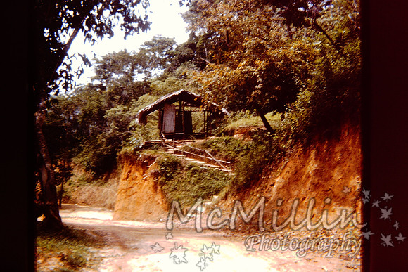 PICT0041
