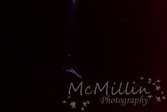 PICT0061