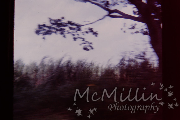 PICT0077