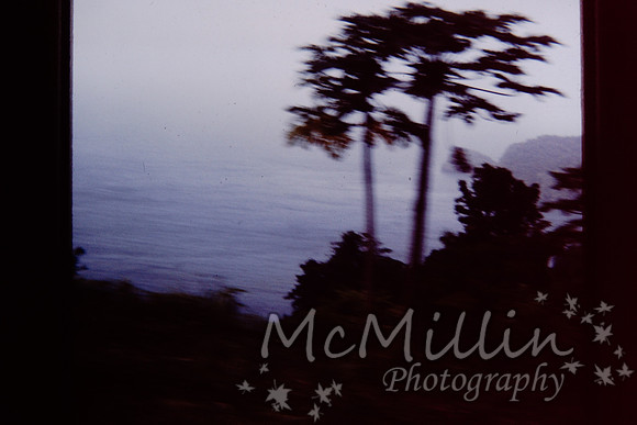 PICT0082