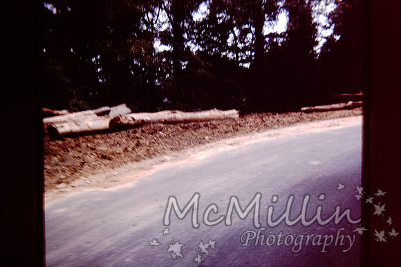 PICT0084