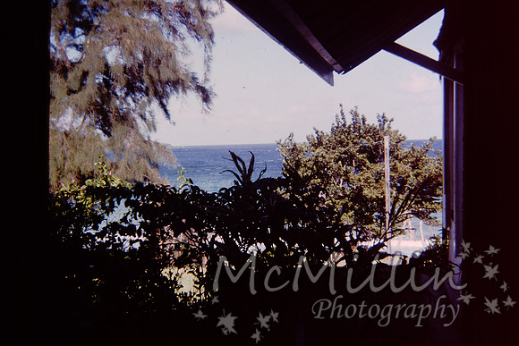 PICT0087