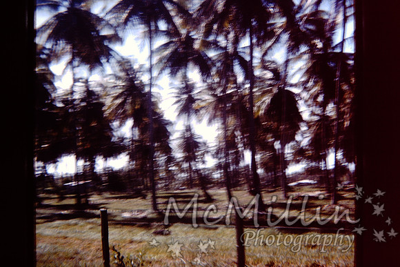 PICT0085