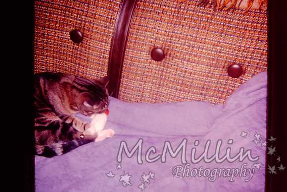 PICT0139