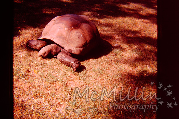 PICT0025