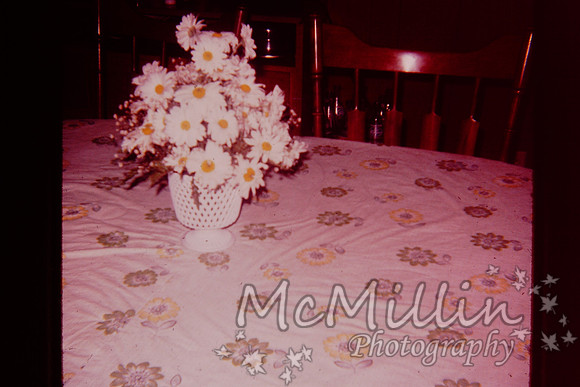 PICT0020