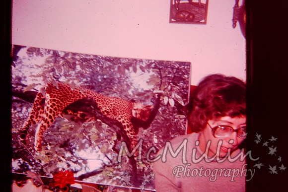 PICT0099