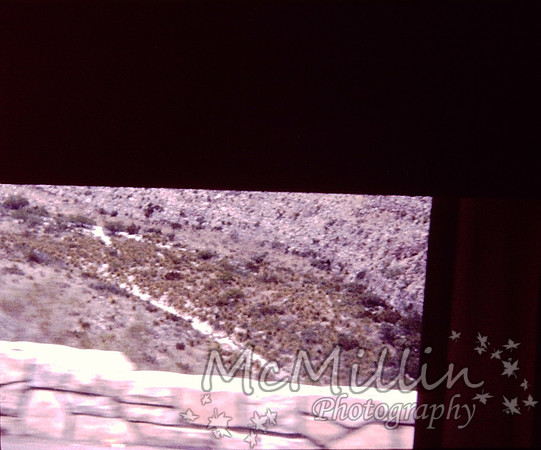 PICT0031-2 (1)
