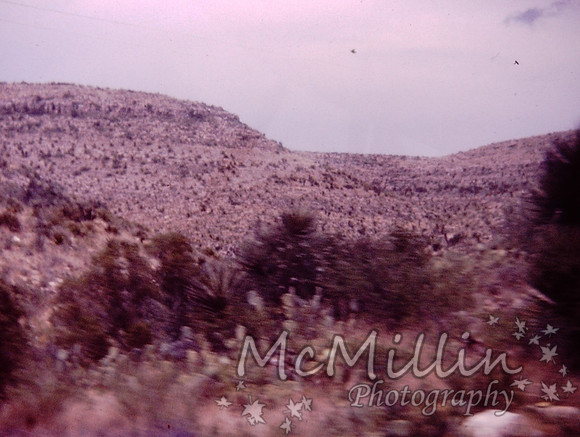 PICT0032-2 (1)