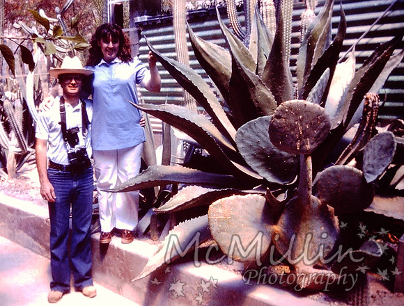 PICT0034-2