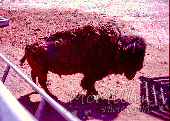 PICT0035-2