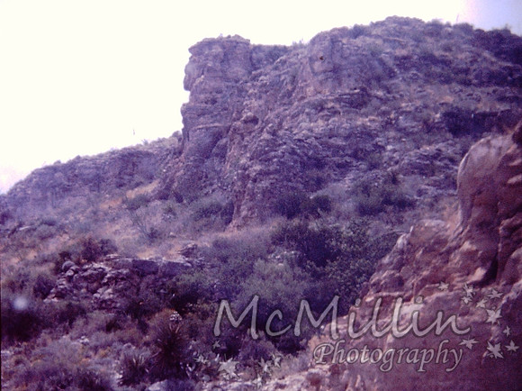 PICT0036-2
