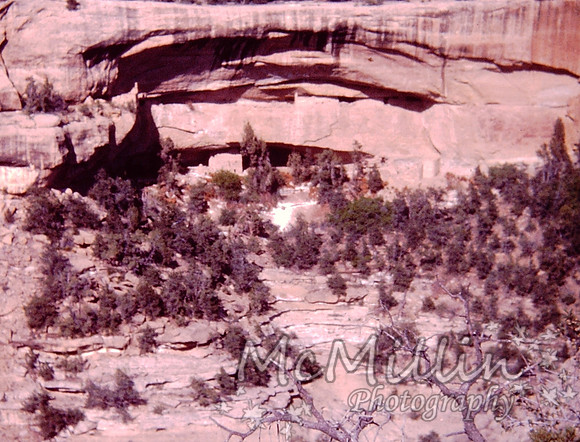 PICT0039-2