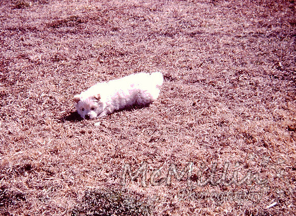PICT0051-2