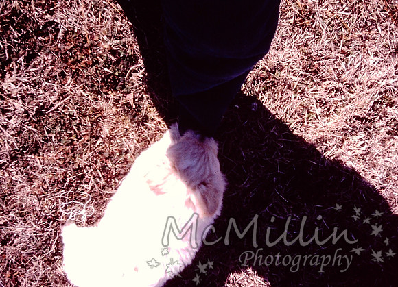 PICT0066-2