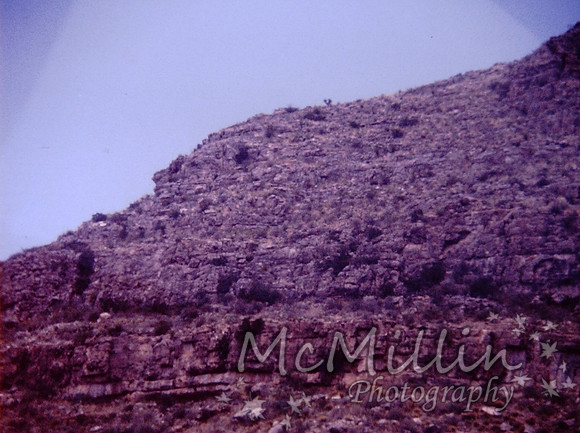 PICT0085 (1)