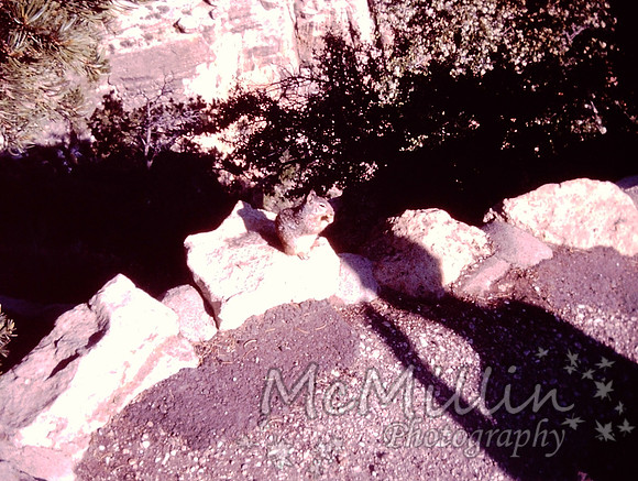 PICT0091