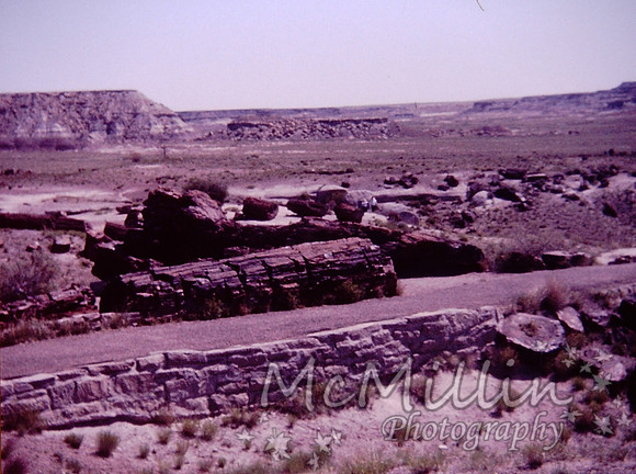 PICT0095