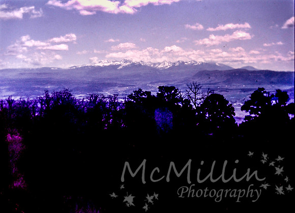 PICT0105