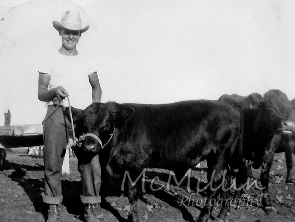 1950ish Melvin Mc with a cow