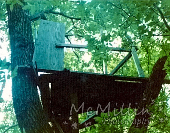 1974 pic of treehouse built 1970