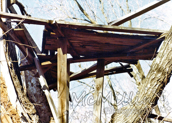 1980 Photo of Tree House made in 1970 (1)