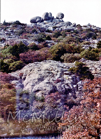 1981 Elk Mnt view 2