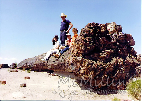 1983 grand canyon trip pet forest