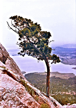 1983 view from top of Mt Scott