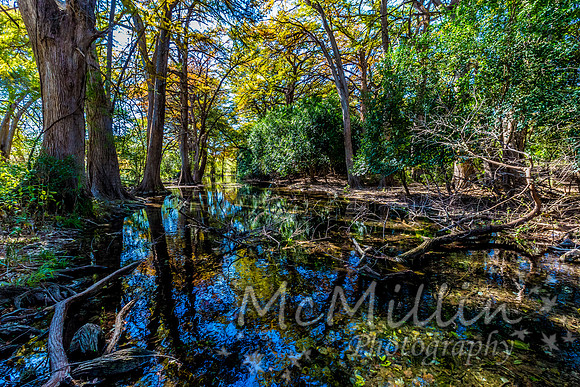 Bright Beautiful Fall Foliage on the Crystal Clear Frio River.