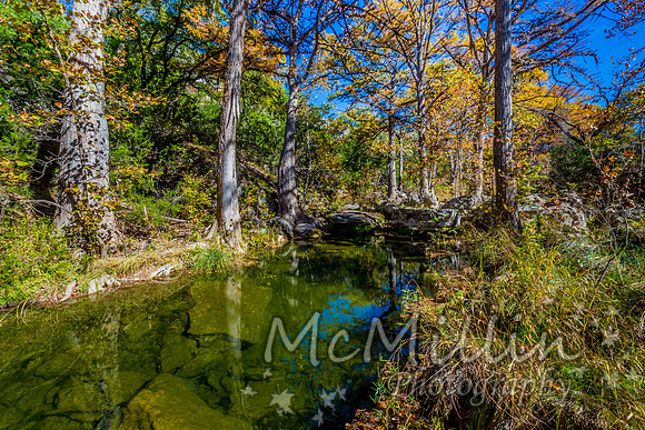 Beautiful Fall Foliage on Hamilton Creek, Texas.