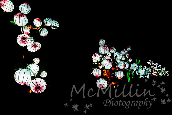 Chinese Lanterns