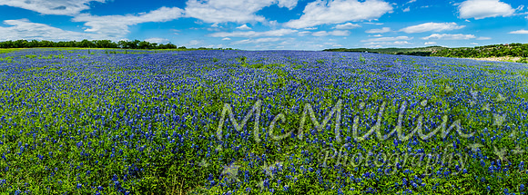 1P1A1194-Pano