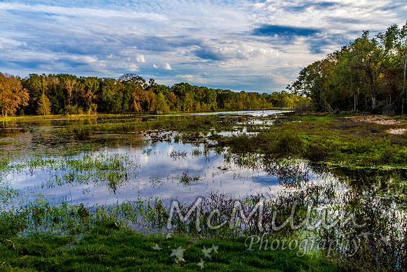 2011 Nov Brazos Bend-8393-2